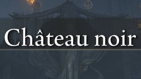 Château Noir, Combles