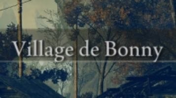 Village de Bonny
