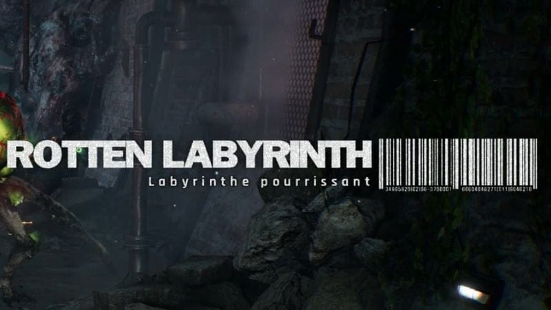 Labyrinthe pourrissant
