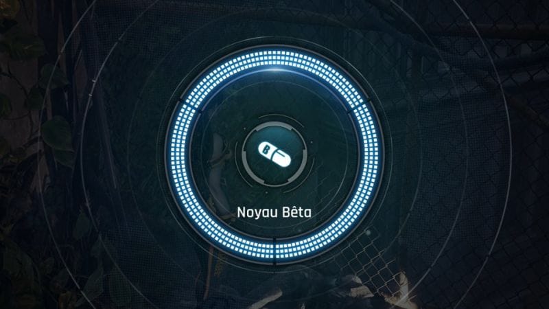 Noyaux Bêta