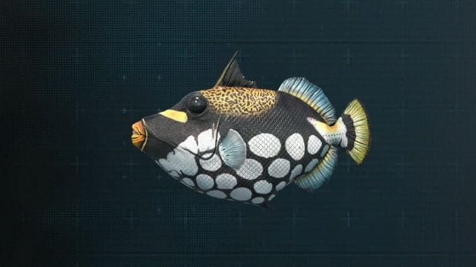 Poissons moyens