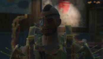 Compagnon Nuka-World