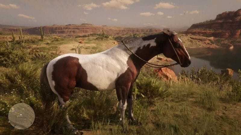 American paint Red Dead Redemption 2 : Où trouver ce cheval ?