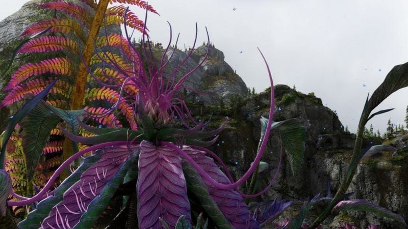 Fleurs de Tarsyu de la cascade de pierres