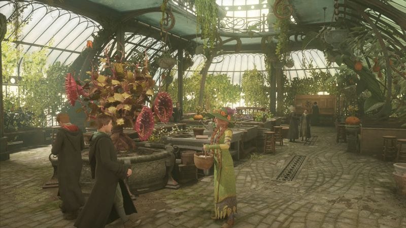 Cours de botanique