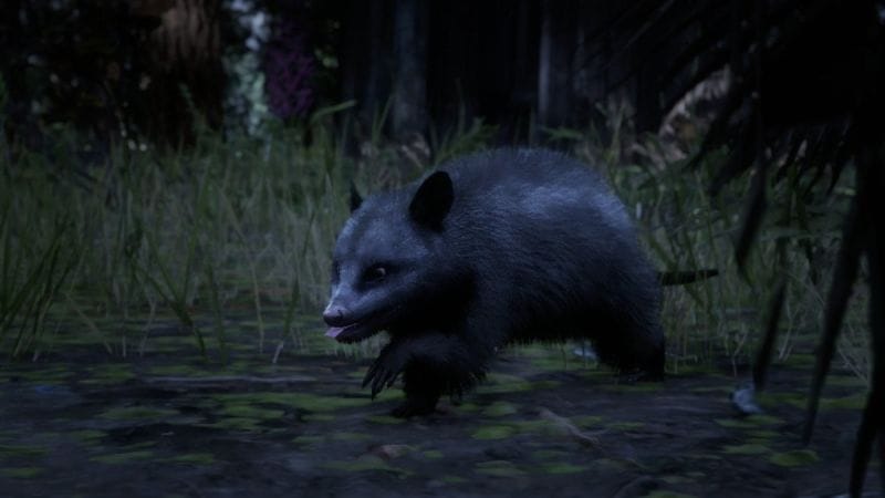 Opossum de Virginie Red Dead Redemption 2 : Où chasser cet animal ?