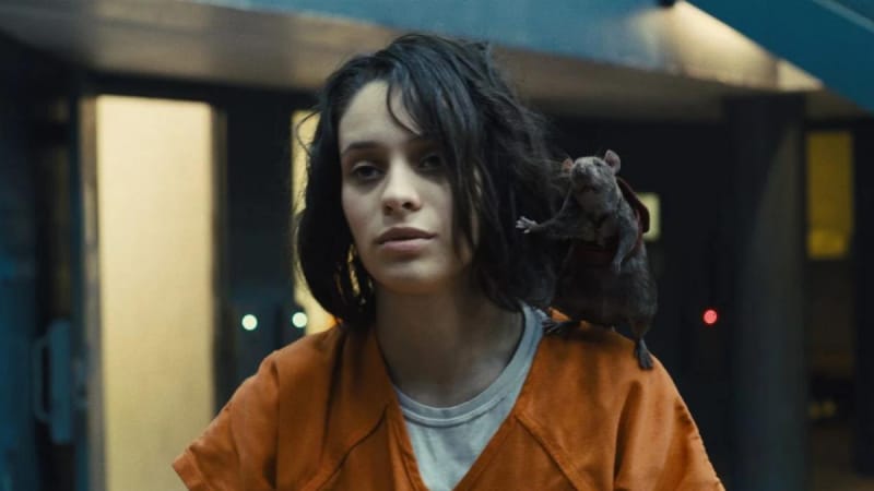 Il existe 2 versions de ce film sur Netflix ! Le service SVOD a fait un choix stratégique et les résultats sont là : il est TOP 4