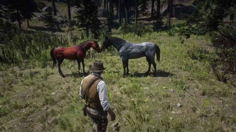 Nokota Red Dead Redemption 2 : Où trouver ce cheval de course ?