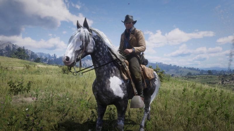 Missouri Fox Trotter Red Dead Redemption 2 : Où trouver ce cheval polyvalent ?
