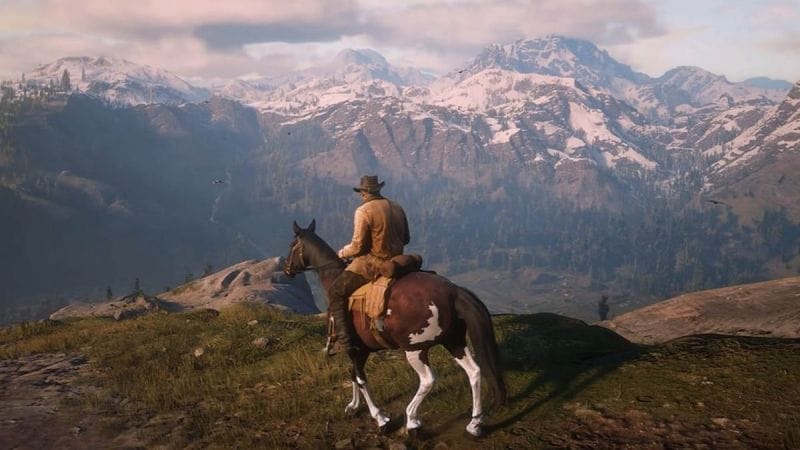 Camomille sauvage Red Dead Redemption 2 : Comment obtenir cette ressource ?