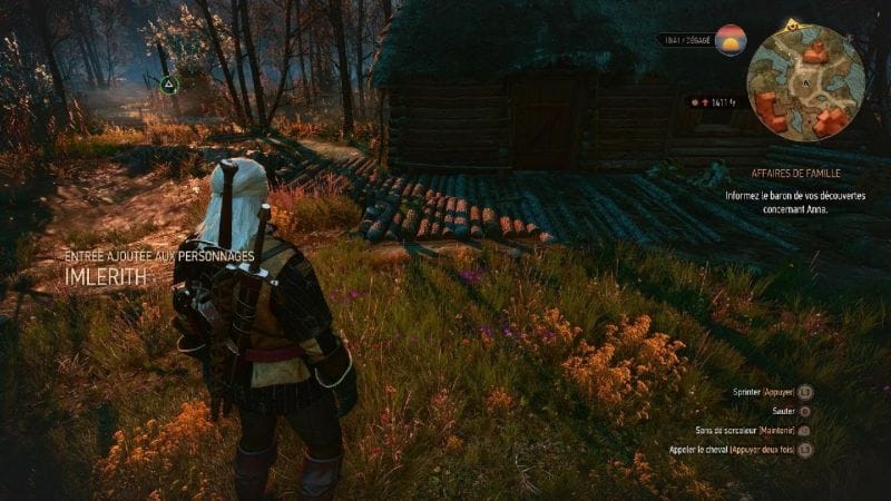 The Witcher 3: Wild Hunt