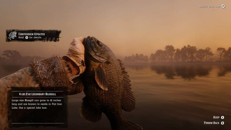 Crapet arlequin Red Dead Redemption 2 : Où pêcher ce poisson ?