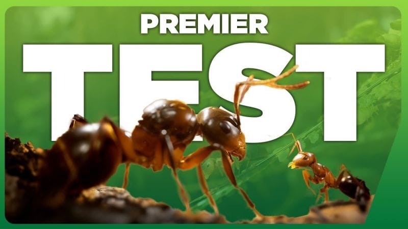 On a joué à Les Fourmis : une MAGNIFIQUE surprise qui nous a séduit ! 🟢 PREVIEW Gamescom