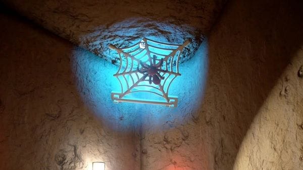 Nettoyeur de toiles d'araignées de la Cantina