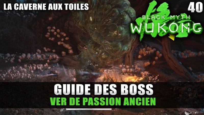 Black Myth Wukong : Guide BOSS : Ver de Passion Ancien (Stratégie COMBAT) Caverne aux toiles