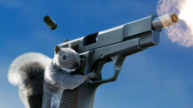 Test Squirrel with a Gun - Un gland trop loin