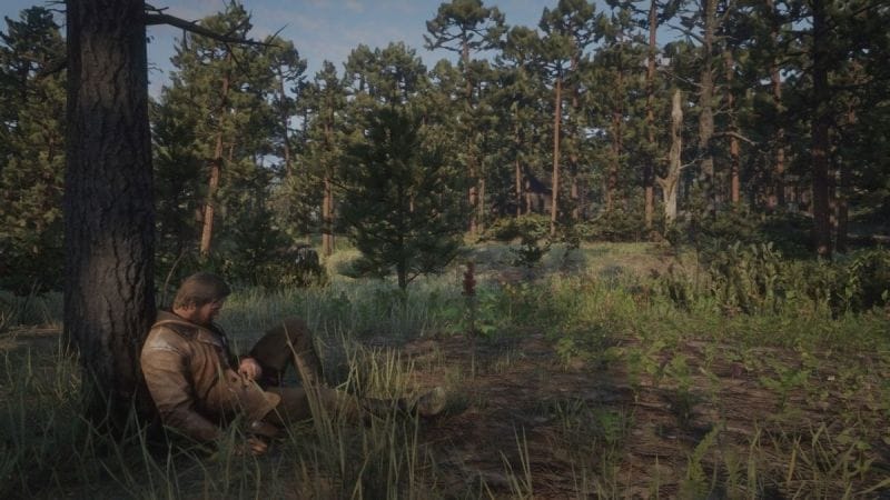 Cassis Red Dead Redemption 2 : Où trouver cette ressource d'artisanat ?