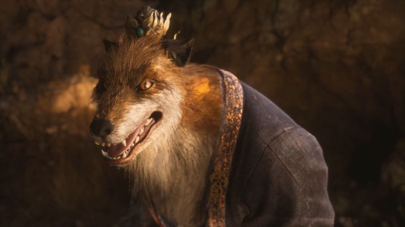 Les Remèdes de Chien Xu