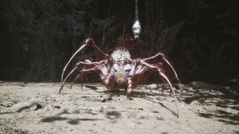 Araignée Pourpre