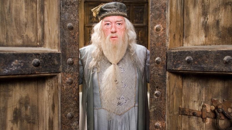 Gary Oldman tient à jouer le rôle de Dumbledore dans la nouvelle série Harry Potter.