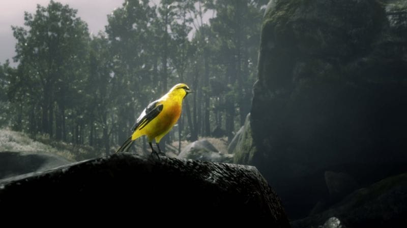 Oriole Red Dead Redemption 2 : Où trouver ce petit oiseau ?