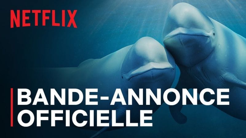 Nos océans | VO narrée par Barack Obama | Bande-annonce officielle VOSTFR | Netflix France