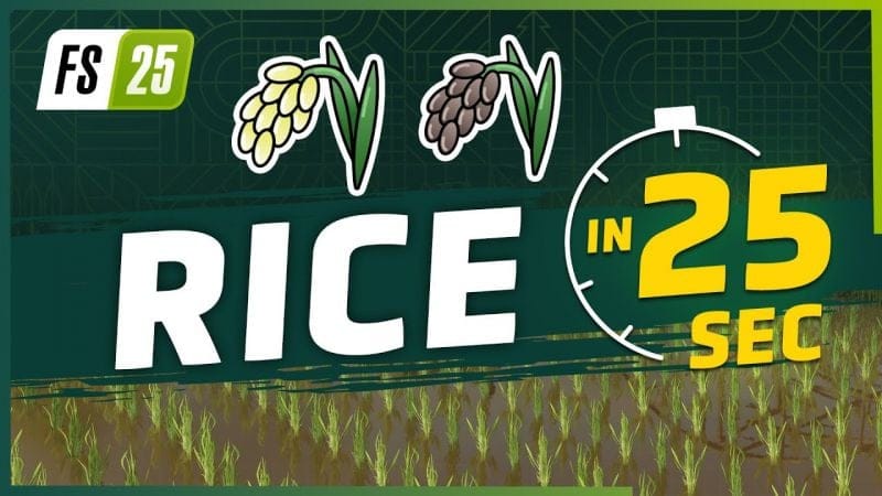 Rice in 25 Seconds | Farming Simulator 25