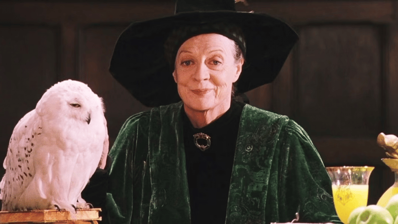Harry Potter : l'actrice iconique Maggie Smith est décédée