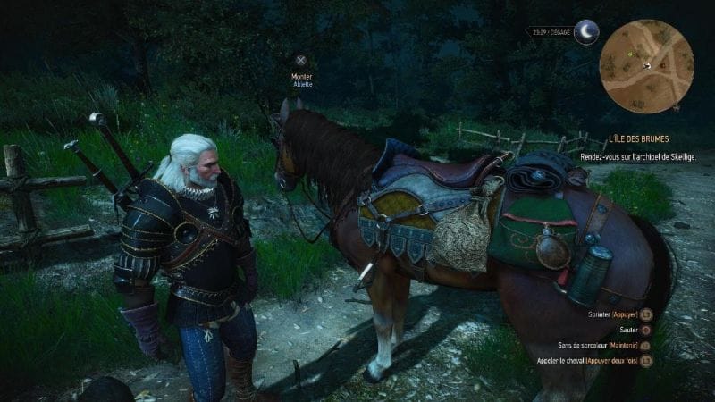 The Witcher 3: Wild Hunt