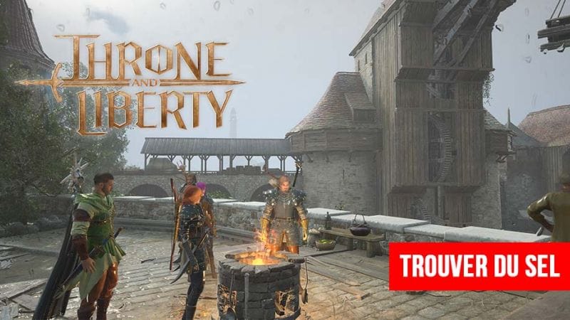 Ingrédient de cuisine dans Throne And Liberty ou trouver du sel | Generation Game