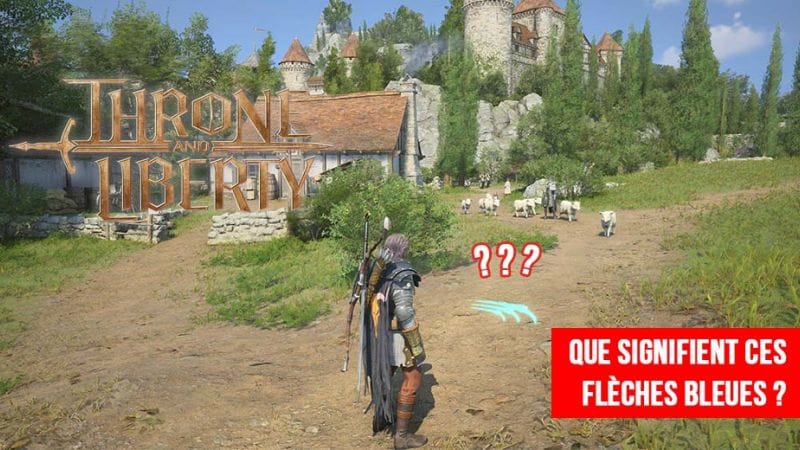 À quoi servent les flèches bleues autour de notre personnage dans Throne and Liberty ? | Generation Game