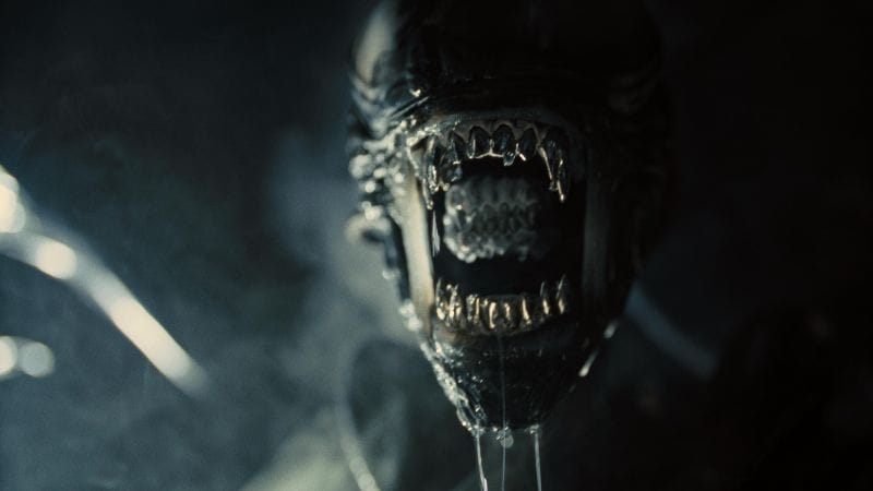 20th Century Fox : "Nous travaillons actuellement sur une idée de suite à Alien: Romulus "