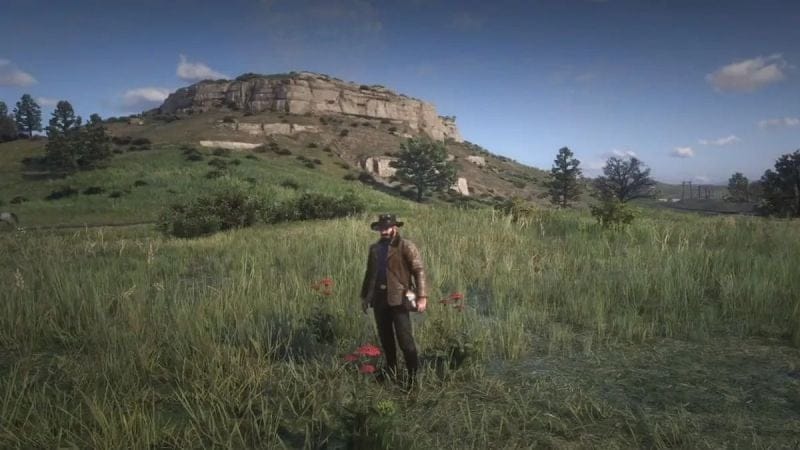 Millefeuille Red Dead Redemption 2 : Où trouver cette plante pour concocter un tonique puissant ?