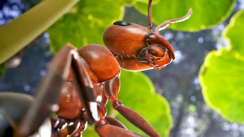 Test du jeu Les Fourmis sur PS5