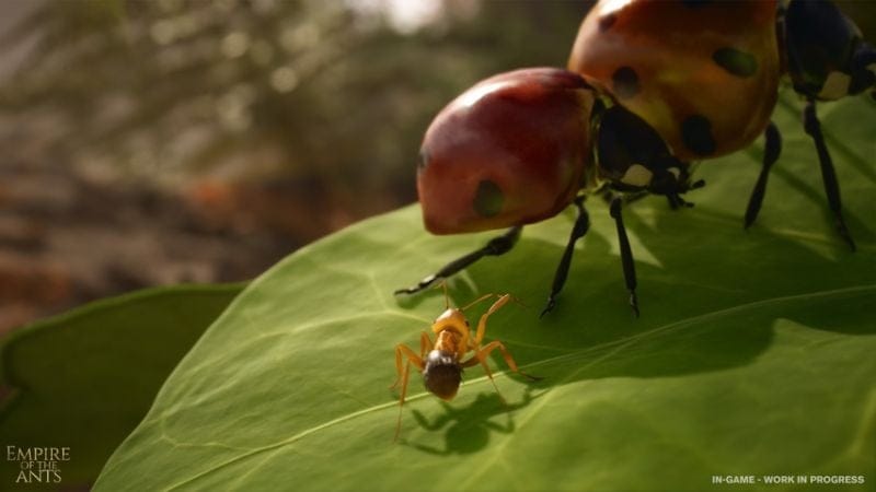 Les Fourmis : ce qui est petit est puissant