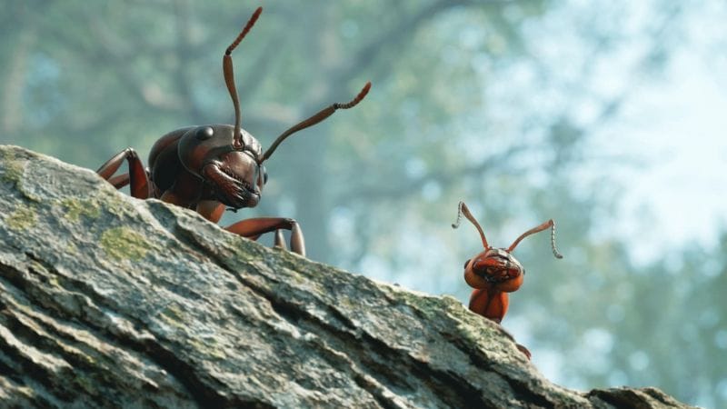 Empire of the Ants - Test