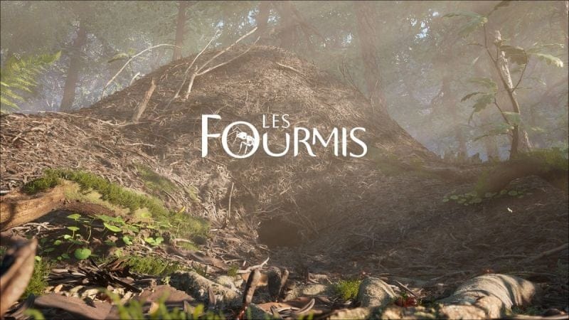 Test Les Fourmis : ho ho mille et une pattes