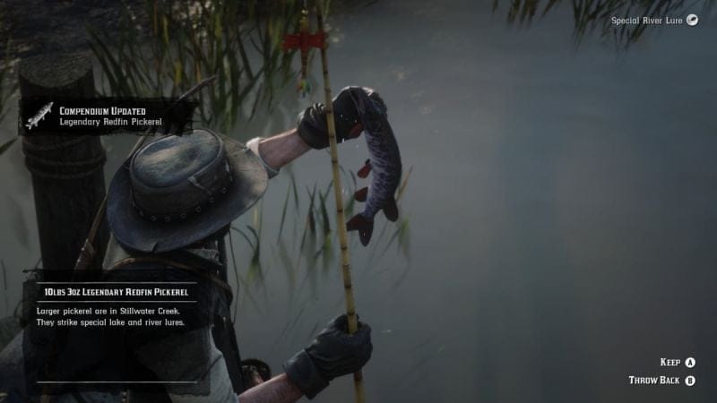 Brochet d'amérique Red Dead Redemption 2 : Où et comment pêcher ce poisson ?
