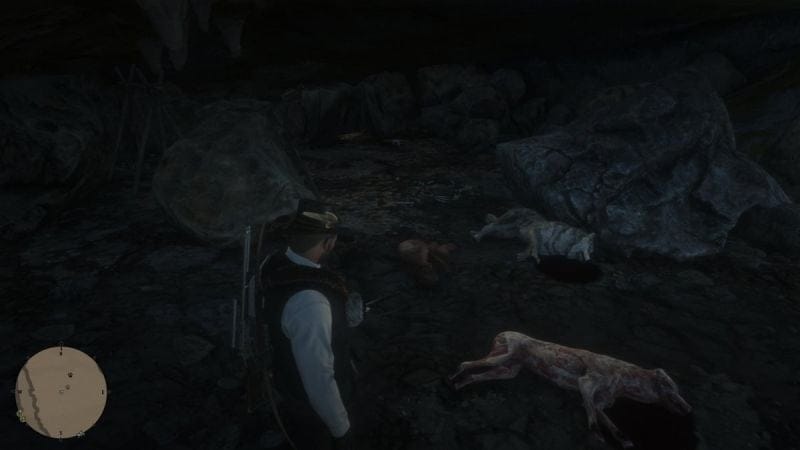 Homme sauvage Red Dead Redemption 2 : Où le trouver pour effectuer l'easter egg du loup-garou ?