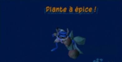 Un éléphant en liberté