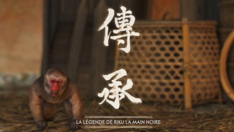 La légende de Riku la Main Noire