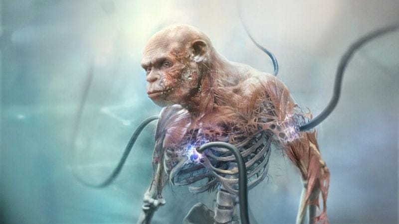 Beyond Good & Evil 2 : Michel Ancel revient sur la gestation difficile du projet