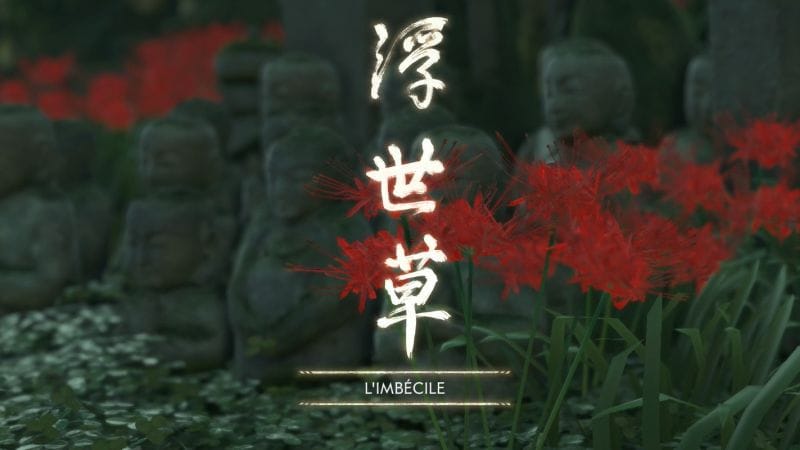 L'imbécile
