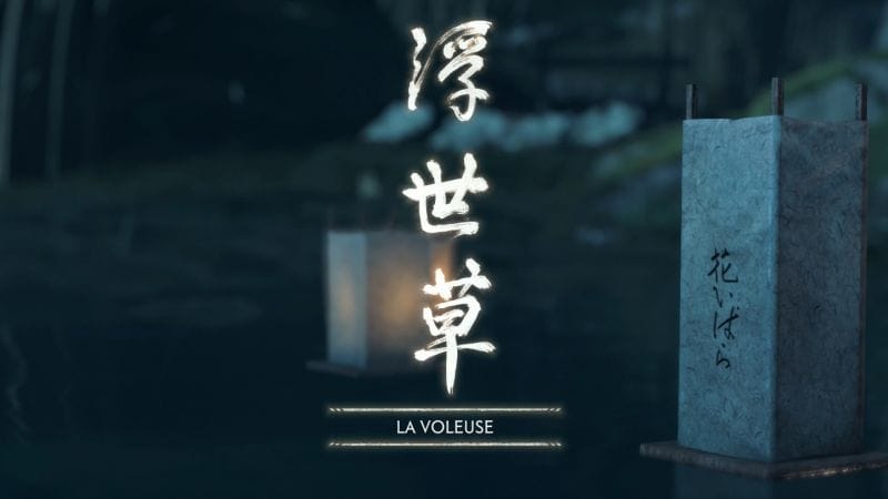 La voleuse