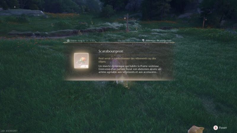 Où attraper des scarabourgeons, localisation | Guide Infinity Nikki