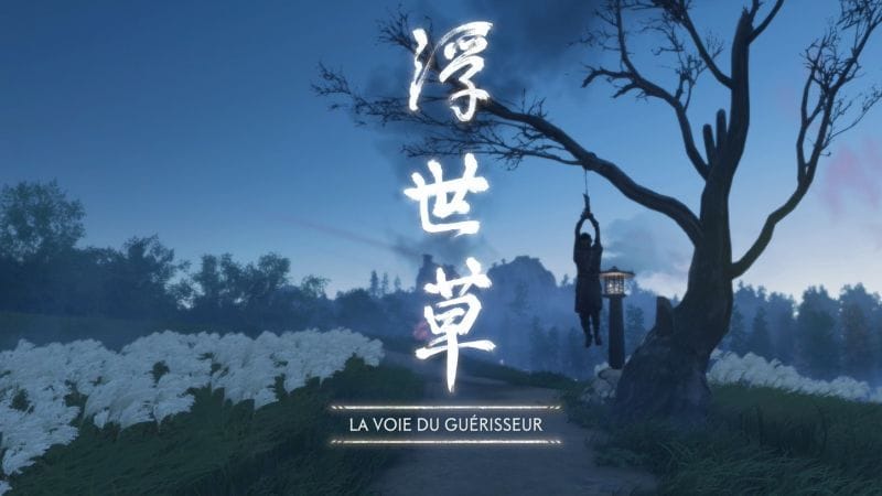La voie du guérisseur