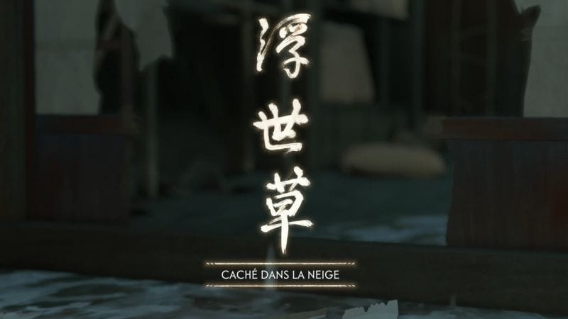 Caché dans la neige