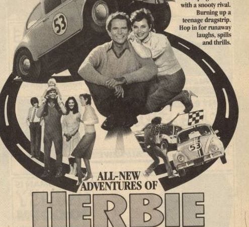 Un amour de coccinelle la série