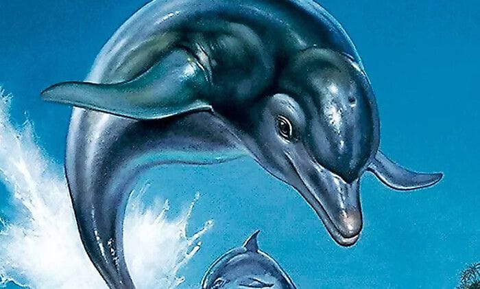 Ecco The Dolphin : SEGA sur le point de faire revenir la licence ? On a des indices solides...