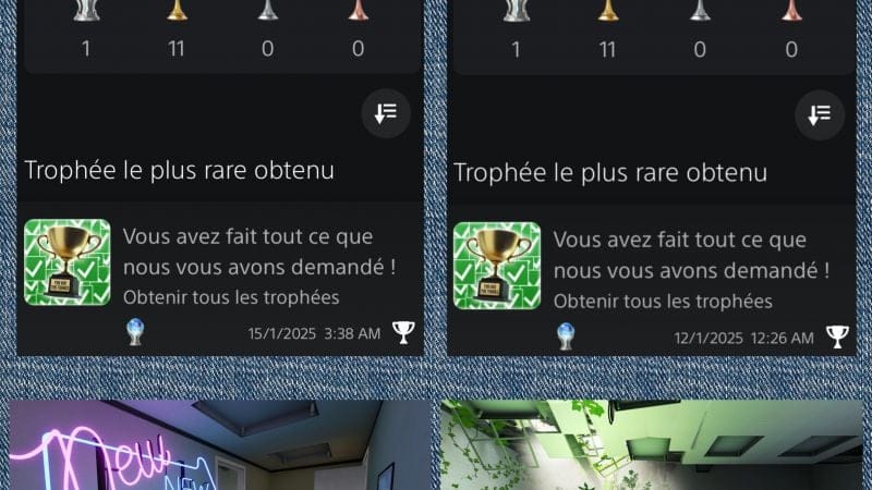 26 eme trophée Platine le même